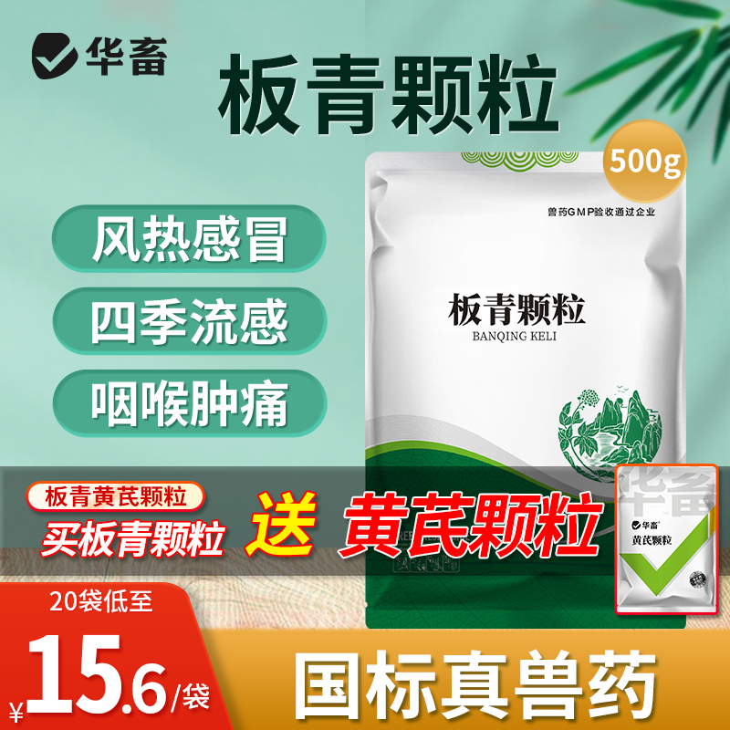 华畜板青颗粒兽用清热解毒