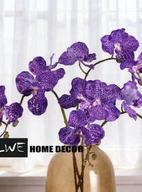 轻奢装饰花艺摆件紫色豹纹仿真花万代兰手感保湿客厅前台插花装饰