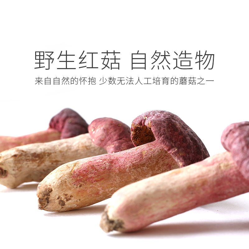 黄松甸 红菇野生正宗红菇 红蘑菇 特产干货正红菇野生红菇干 250g