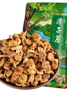 优选滑子蘑干净无根味道鲜美