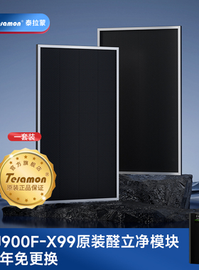 Telamon/泰拉蒙空气净化器X99高效原装除醛模块除醛用滤网一套装