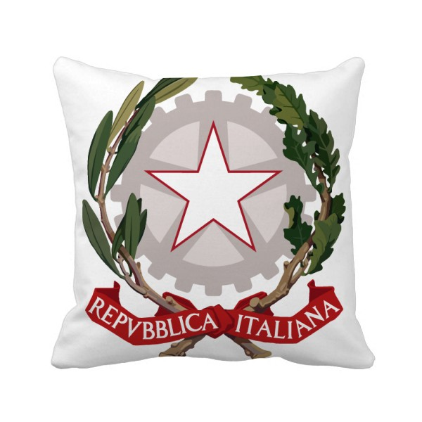 意大利欧洲国徽 方形抱枕靠枕沙发靠垫双面含芯礼物