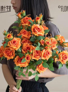 南十字星 仿真花多头荔枝玫瑰轻奢高端橙色客厅假花摆设干花装饰