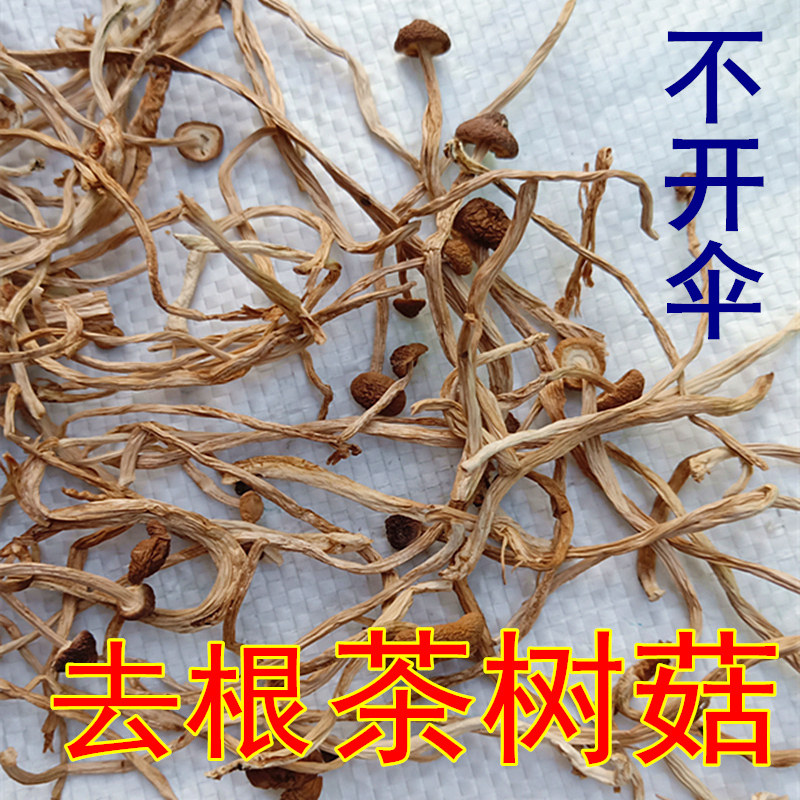 江西广昌去脚半开伞茶树菇干货剪根干净细嫩方便料理剪断乱包500g