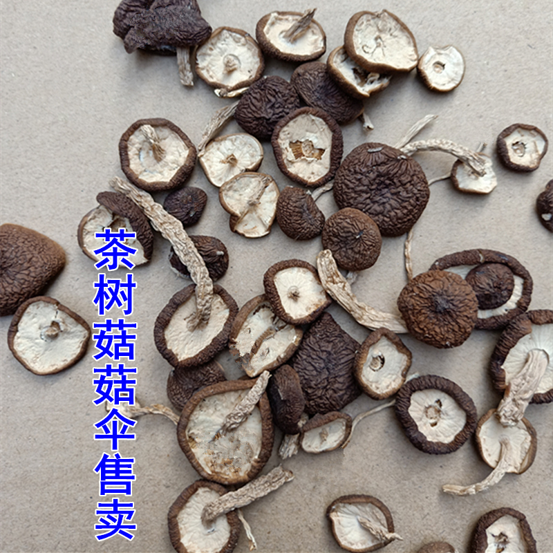 正宗广昌不开伞茶树菇菇伞菇盖农家自产茶树菇帽香嫩江西特产500g 粮油调味/速食/干货/烘焙 香菇类 原图主图