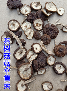 正宗广昌不开伞茶树菇菇伞菇盖农家自产茶树菇帽香嫩江西特产500g