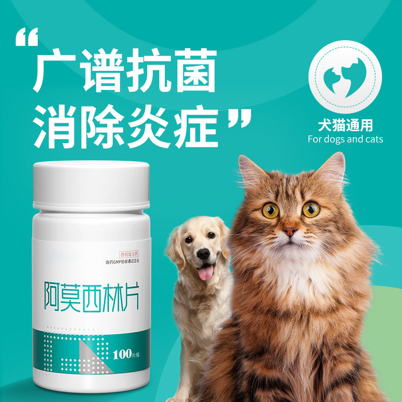 宠物猫咪感冒药猫鼻支阿莫西林消炎止咳药狗狗咳嗽打喷嚏流鼻涕