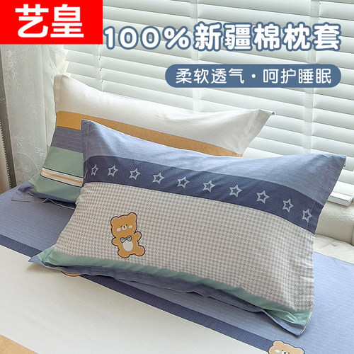 枕套一对装2026新款纯棉枕头套单个学生宿舍专用枕芯内胆套48x74 - 封面
