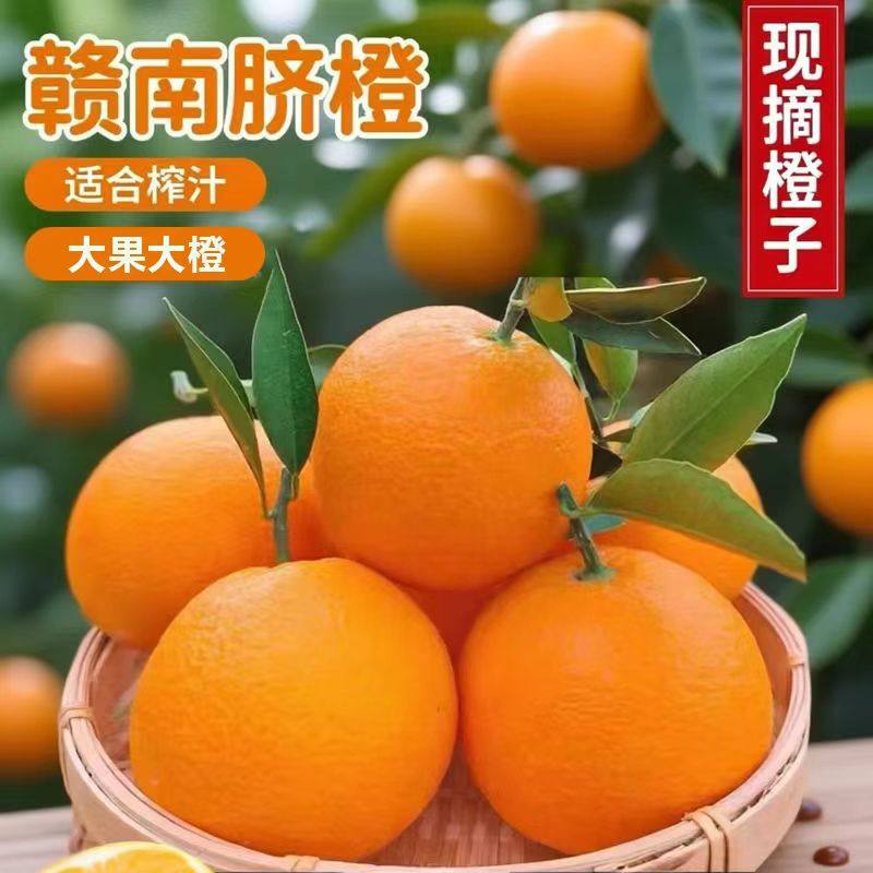 赣南脐橙大果新鲜水果甜橙当季整箱10斤产地直发榨汁现摘橙子江西,水产肉类/新鲜蔬果/熟食,橙,淘宝优惠券,粉丝福利购,淘宝优惠卷