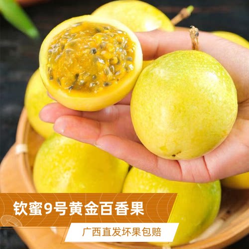 百香果广西饮州9号黄金百香果