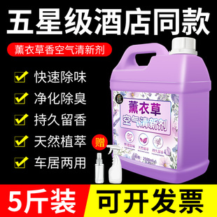 空气清新剂室内空气净化剂酒店宾馆养老院去异味公共卫生间除臭零