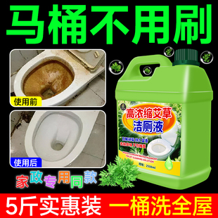 马桶清洁剂洁厕灵强力除垢除臭清香型厕所除臭去异味留香洁厕宝捌