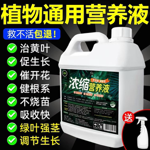 植物营养液浓缩通用型绿植花卉花肥家用盆栽营养园艺肥料绿萝叶%