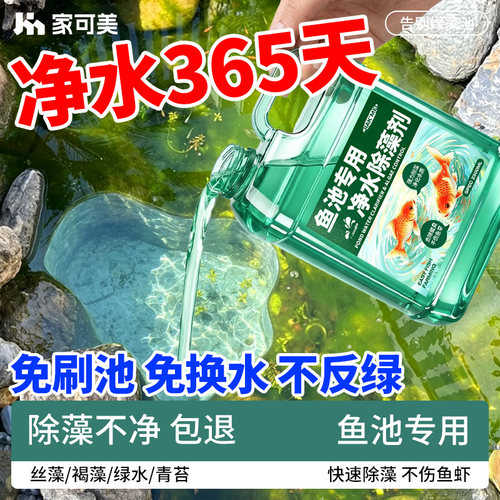 【TOP】百万养鱼专家专选除藻剂