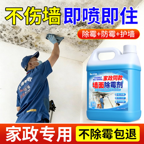 墙壁回南天除霉剂去霉斑霉菌清除剂家用墙体天花板发霉清洁神器捌