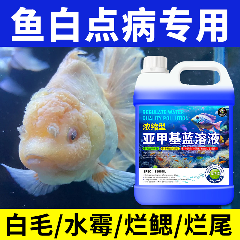 亚甲基蓝溶液水族专用观赏鱼用非鱼药锦鲤烂身烂尾白点杀菌消毒贰