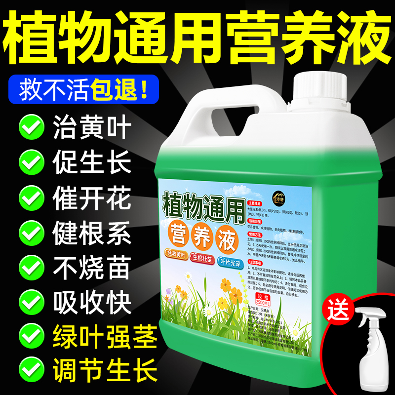 植物通用营养液室内盆栽植物绿植花卉营养液改善土壤生根壮苗液の