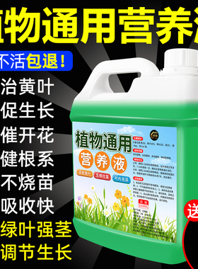 植物通用营养液室内盆栽植物绿植花卉营养液改善土壤生根壮苗液の