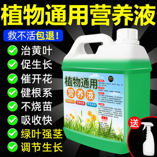 植物通用营养液室内盆栽植物绿植花卉营养液改善土壤生根壮苗液