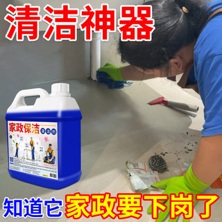 家用多效打扫清洗全屋清洁剂擦玻璃家政保洁专用家具家电去污除垢