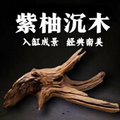 精品沉木装 饰爬宠迷你躲根雕微景观枯木水族盆栽天然成杜鹃根树根
