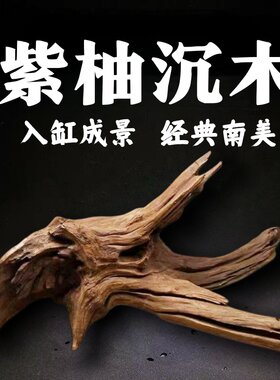 天然杜鹃根沉木微景观爬宠躲避