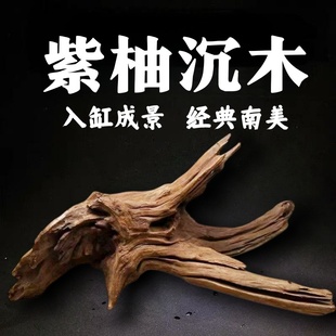精品沉木装饰爬宠迷你躲根雕微景观枯木水族盆栽天然成杜鹃根树根