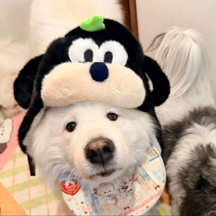 卡通黑色布鲁托小狗雷锋帽男女新款冬季加厚保暖防寒毛绒护耳帽子