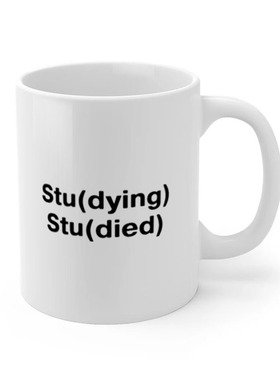 Studying Studied 学习状态学术人研究生PHD 陶瓷马克杯水杯杯子