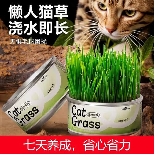 HELLOJOY猫草种子栽培罐头盒装猫草罐头懒人猫草猫咪