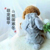 Одежда для любимой собаки кошка осень и зимняя собака Шиба Ину Боуэй Дучуки щенки