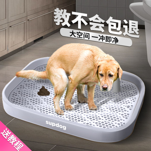 狗狗厕所防踩屎中型犬大型犬神器
