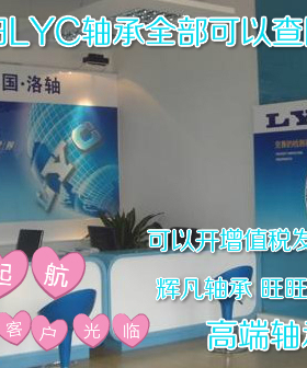 洛轴LYC深沟球轴承6218E 6219E 6220E 6221E 6222E 6224E