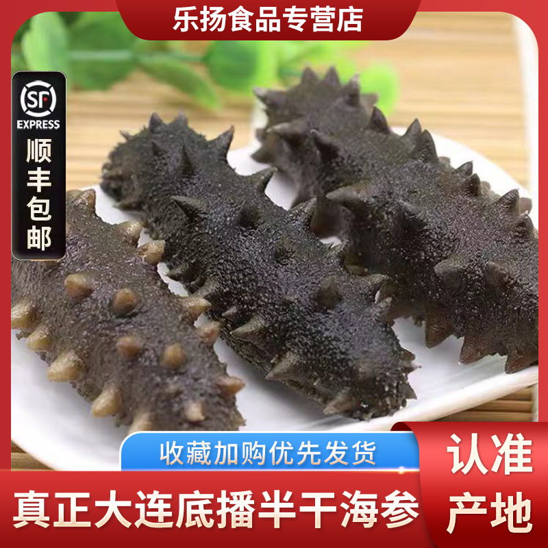 大连半干海参500g鲜活冷冻水产