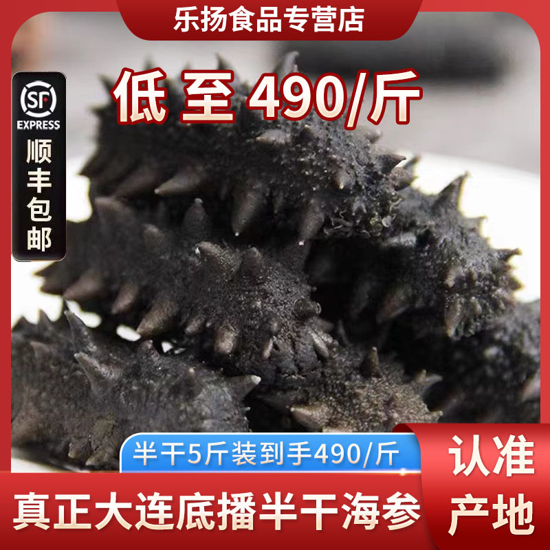 乐扬大连半干海参5斤拉缸盐辽参刺参冷冻鲜活水产辽宁特产
