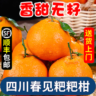 四川春见耙耙柑桔子当应季新鲜水果正宗粑粑柑丑柑桔橘子整箱包邮