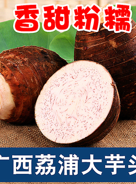 广西荔浦大芋头5斤正宗现挖新鲜大粉香芋槟榔芋紫藤毛芋蔬菜整箱