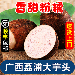 广西荔浦大芋头5斤正宗现挖新鲜大粉香芋槟榔芋紫藤毛芋蔬菜整箱