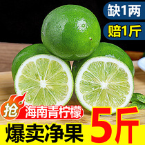 海南青柠檬5斤现摘新鲜水果小青柠金桔香水柠檬一级果奶茶店专用