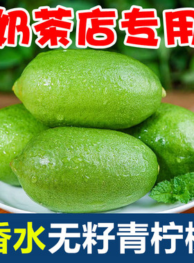 海南香水无籽青柠檬当应季新鲜水果现摘一级皮薄小青柠奶茶店专用