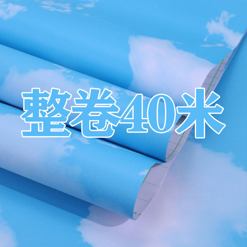 遮光隔热膜防晒不透光蓝天白云玻璃贴纸黑色贴膜窗户挡光防窥视