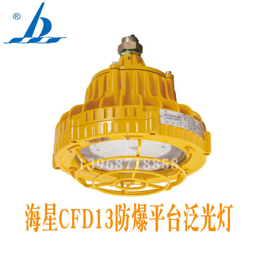 海星CFD13 LED防爆平台泛光灯220V50W投光照明防爆标识ExdⅡCT6Gb