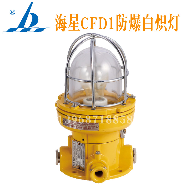 海星CFD1白炽防爆灯铝质壳体钢化玻璃220V100W防爆等级ExdⅡCT4Gb