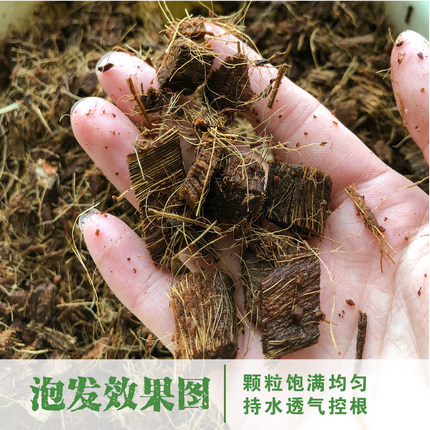 营养土通用椰土粗椰糠砖粗椰壳兰花石斛植料粗椰块有机脱盐椰砖