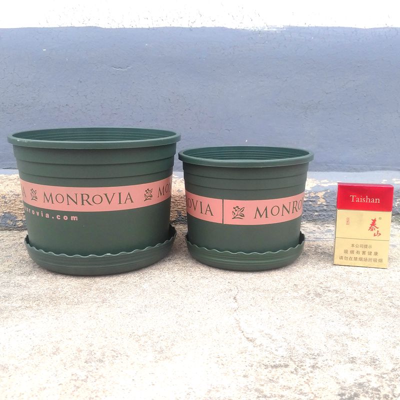 正品环球加厚矮胖加仑盆 多肉绿萝塑料花盆种菜种花室内花盆