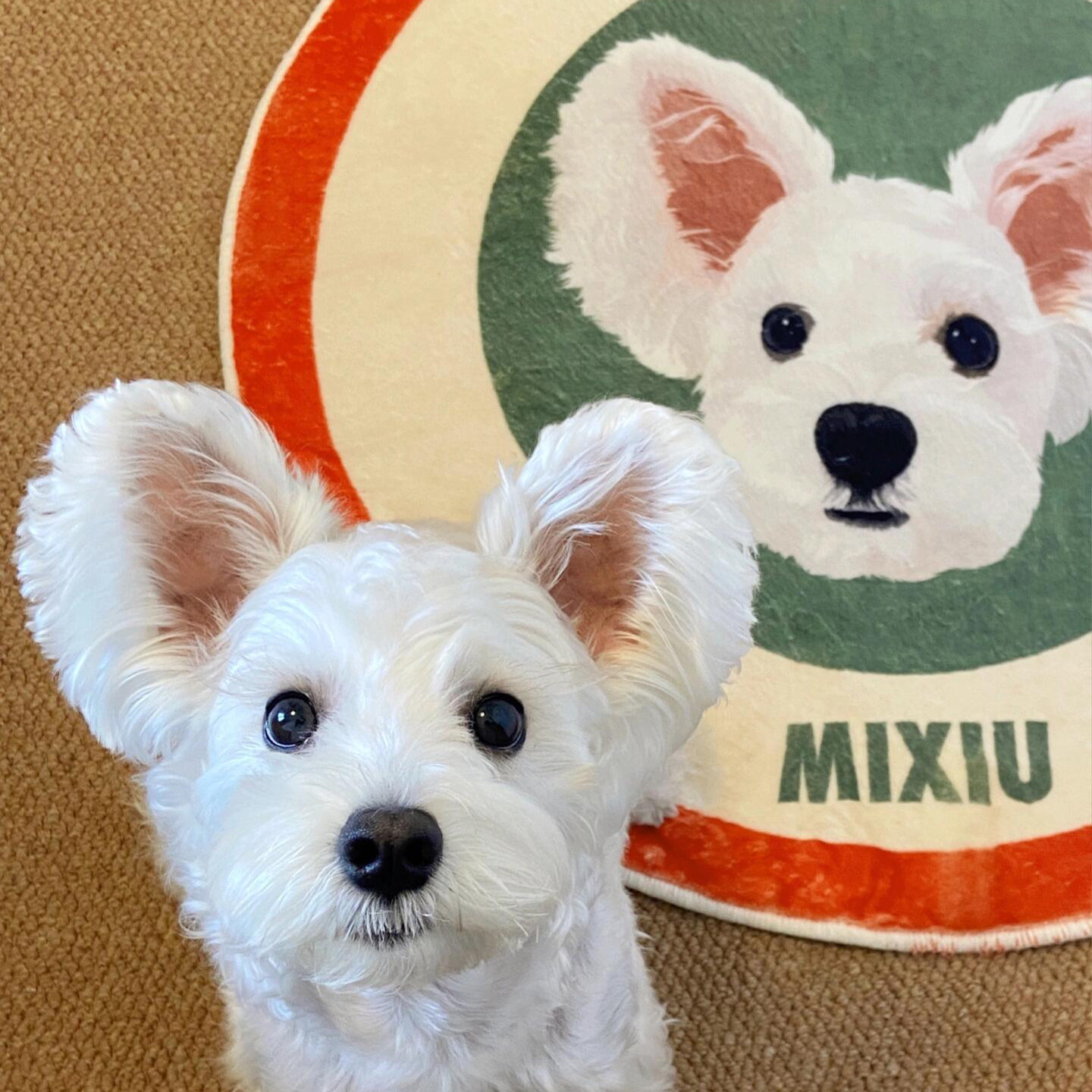 定制宠物头像地垫猫咪狗狗创意礼物狗子纪念用品彷羊绒圆形地毯垫,居家布艺,地毯,淘宝优惠券,粉丝福利购,淘宝优惠卷