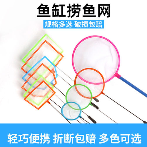 热带鱼捞渔网捞小鱼的