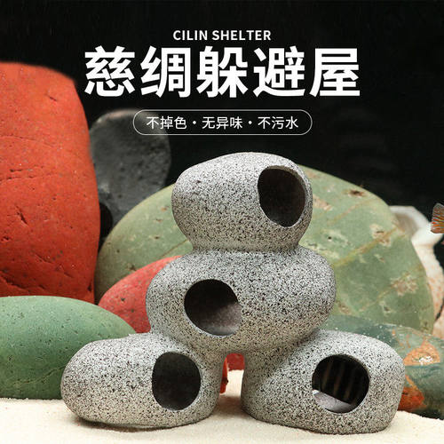 三湖慈鲷石头繁殖瓷罐躲避洞