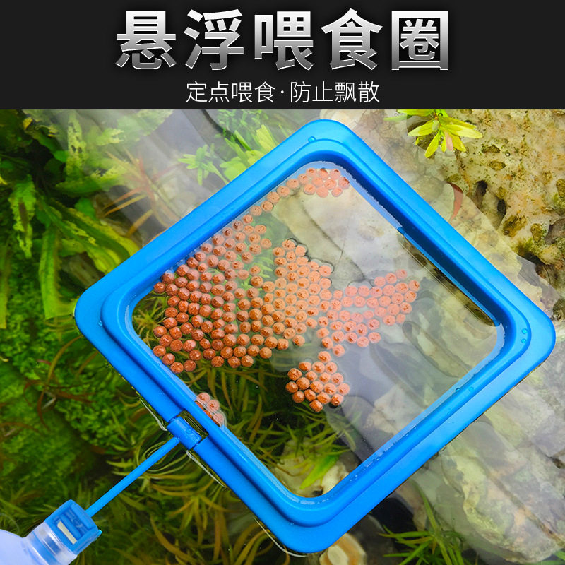 鱼缸喂食器喂食圈防飘散漂浮喂食圈投食器投食圈鱼食投喂饲料固定,宠物/宠物食品及用品,喂食器,淘宝优惠券,粉丝福利购,淘宝优惠卷