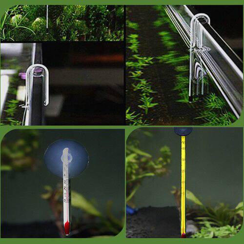 专用小胖高精度热带观赏鱼水族